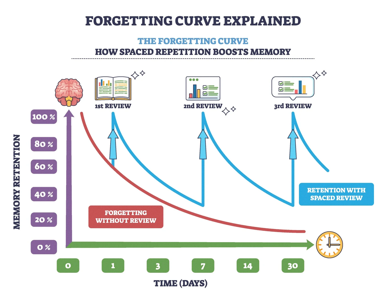 Detailed forgetting curve chart showing memory fading without review and improving with spaced repetition